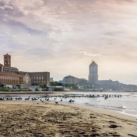 Massimi Minimi Nettuno